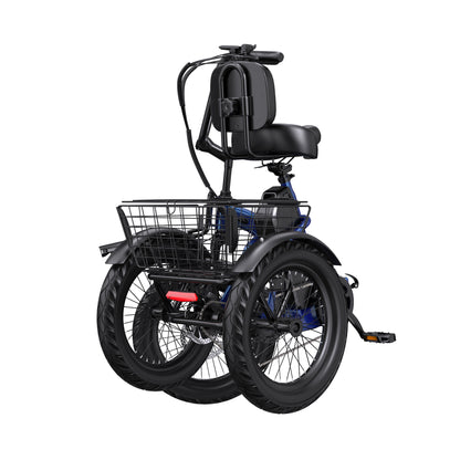 APEFOX RH30 Electric Trike