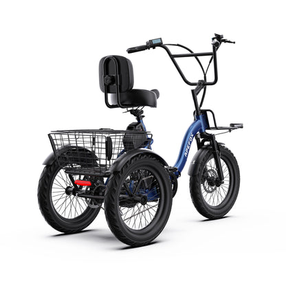 APEFOX RH30 Electric Trike