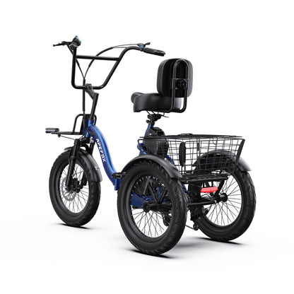 APEFOX RH30 Electric Trike