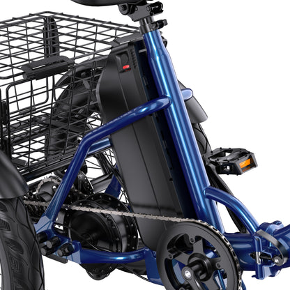 APEFOX RH30 Electric Trike