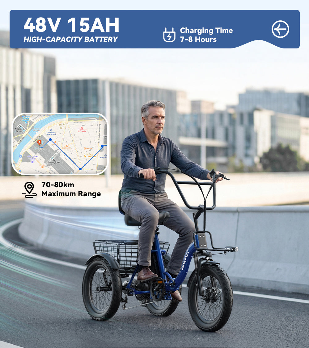 APEFOX RH30 Electric Trike