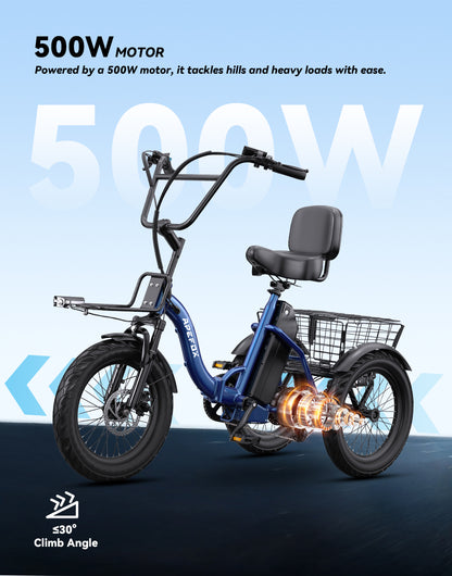 APEFOX RH30 Electric Trike
