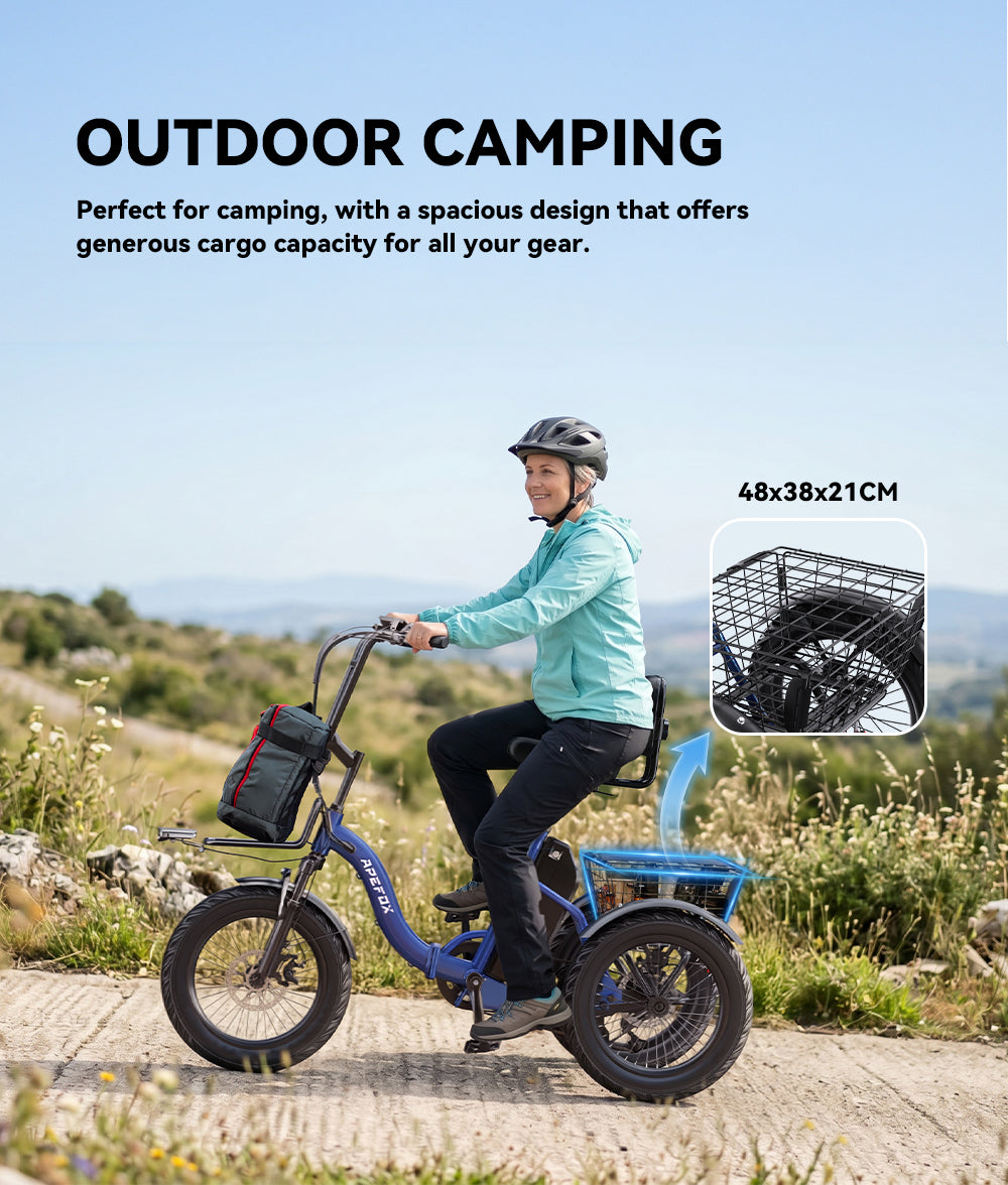 APEFOX RH30 Electric Trike