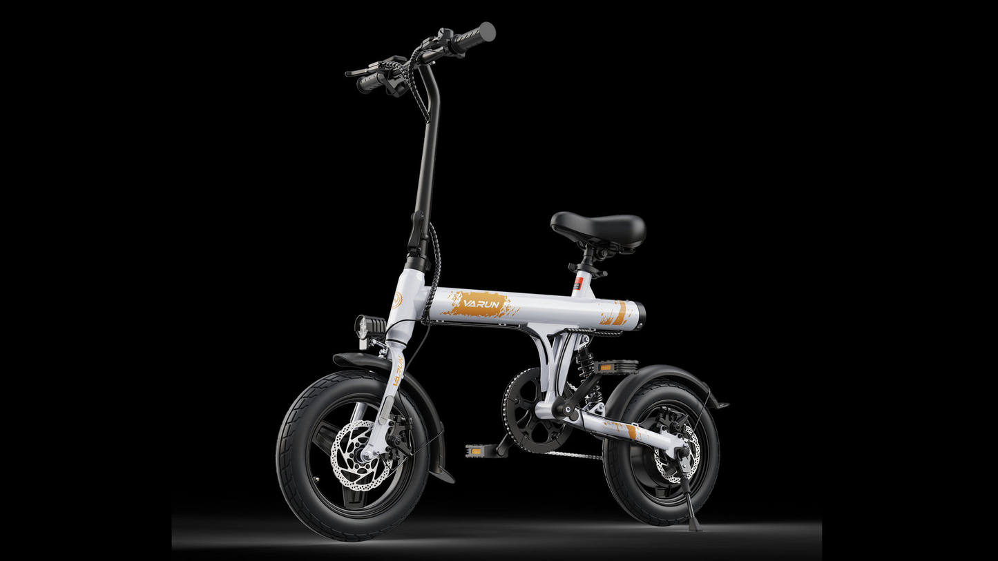 VARUN C14-1