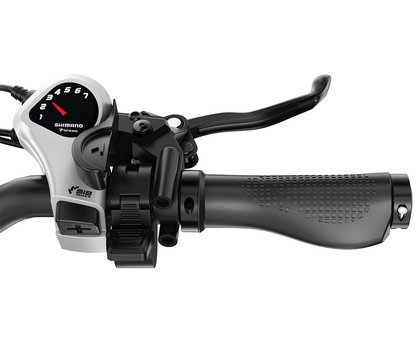 Vitilan U9  20 × 3.0” Full Suspension Torque Sensor Foldable Electric Bike