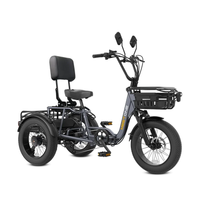 Meet One Breeze Pro 48V 20Ah Fat Tire Electric Trike