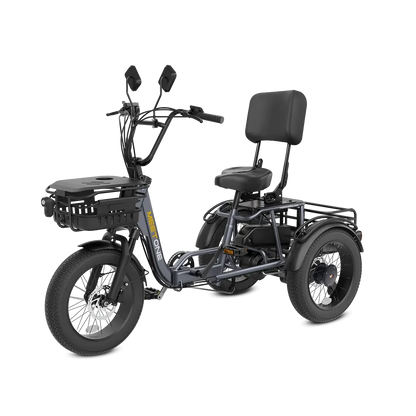 Meet One Breeze Pro 48V 20Ah Fat Tire Electric Trike