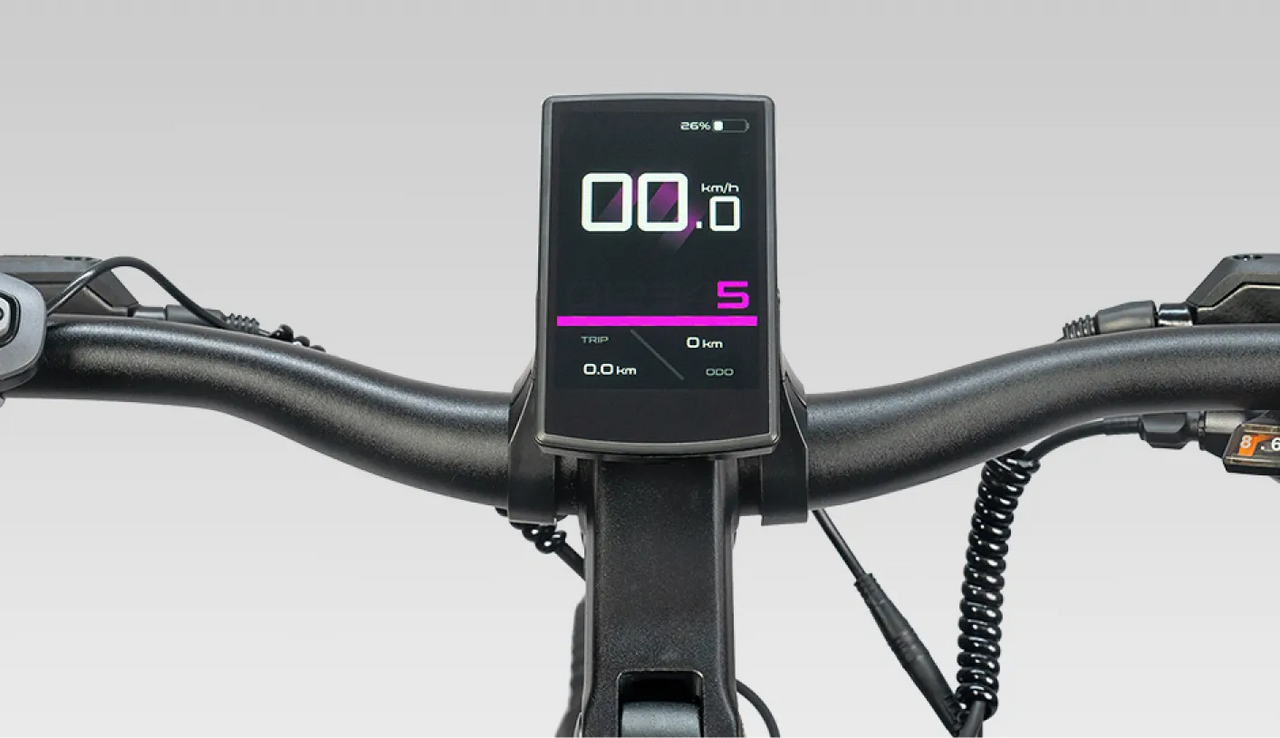 ENGWE E26 3.0 Mid-Drive Full Suspension Electric Bike(New Arrival)