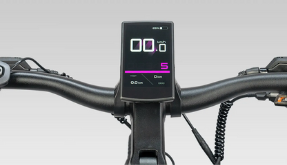 ENGWE E26 3.0 Mid-Drive Full Suspension Electric Bike(New Arrival)
