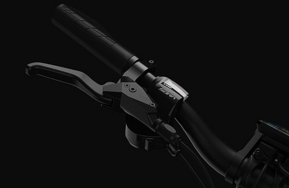 PVY P30 Electric Bike with Torque Sensor image 13