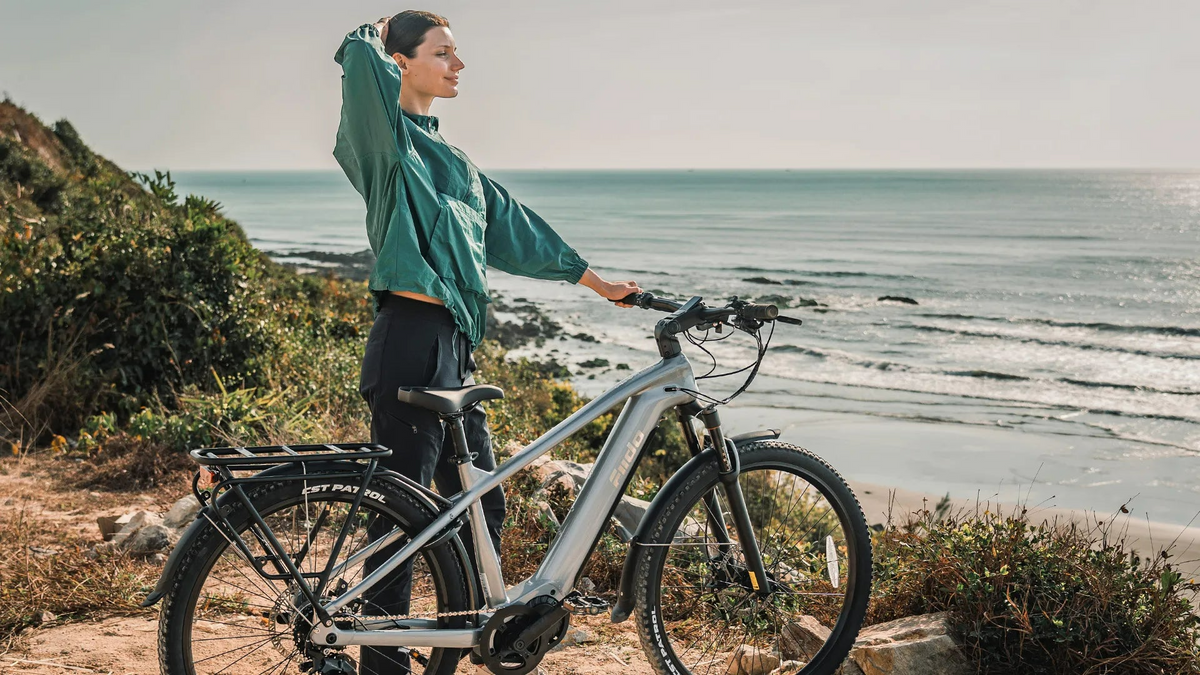 Fiido Nomads Pro 100Nm Mid-Drive Touring E-bike