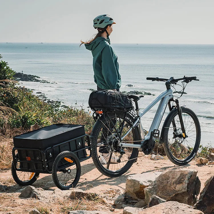 Fiido Nomads Pro 100Nm Mid-Drive Touring E-bike