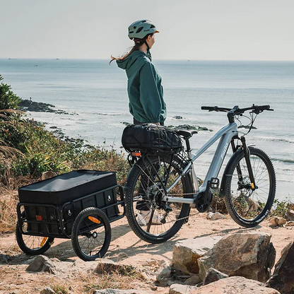 Fiido Nomads Pro 100Nm Mid-Drive Touring E-bike
