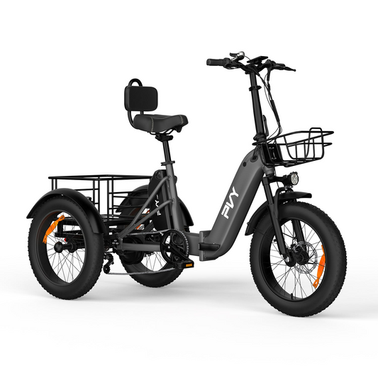 PVY F20 Electric Cargo Trike