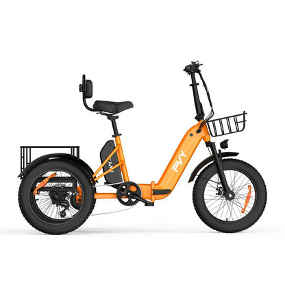 PVY F20 Electric Cargo Trike