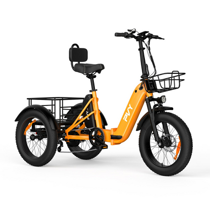 PVY F20 Electric Cargo Trike
