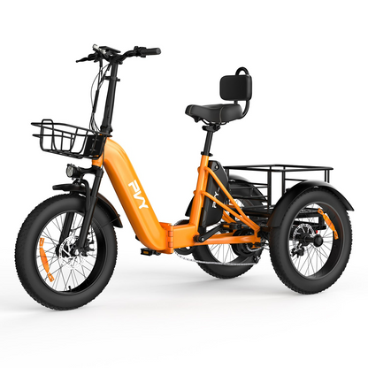 PVY F20 Electric Cargo Trike