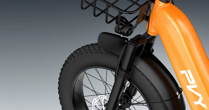 PVY F20 Electric Cargo Trike