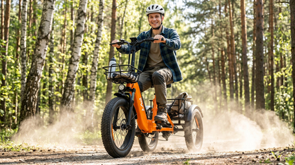 PVY F20 Electric Cargo Trike