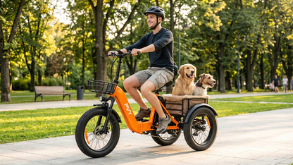 PVY F20 Electric Cargo Trike