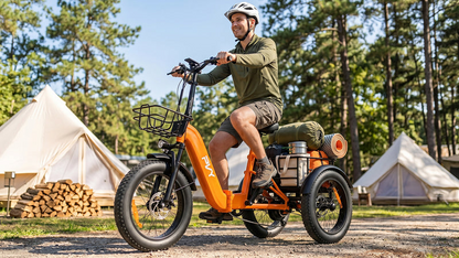 PVY F20 Electric Cargo Trike