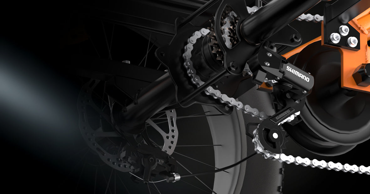 PVY F20 Electric Cargo Trike
