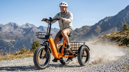 PVY F20 Electric Cargo Trike