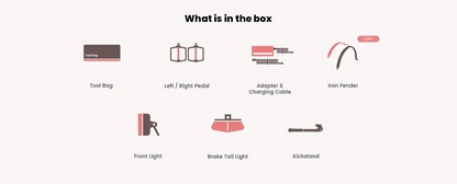 pvy_f20-WHAT_IS_IN_THE_BOX