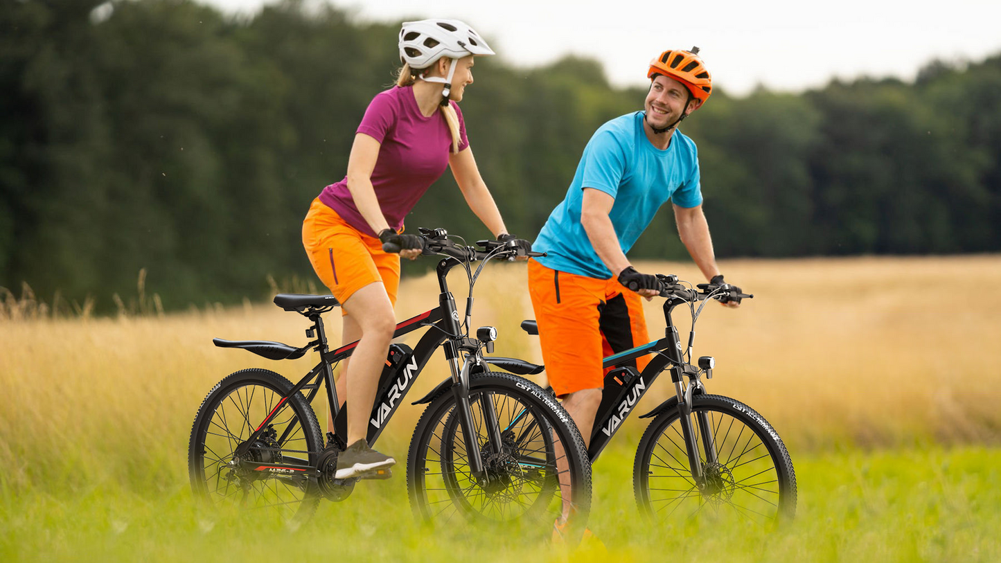Varun M26-2 Altus E-Bike