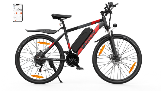 Varun M27-1  Pro Mountain Electric Bike